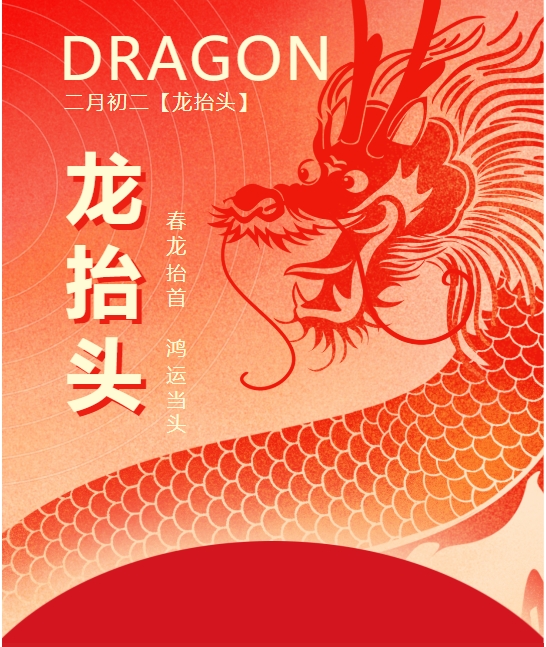 二月二龍?zhí)ь^，春龍振翅鴻運(yùn)啟 —— 佳木斯網(wǎng)云信息科技有限公司與您共迎新春盛景